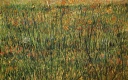 Tableau Van-Gogh 1920 x 1200 (16)