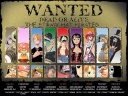 One Piece fond ecran (26)